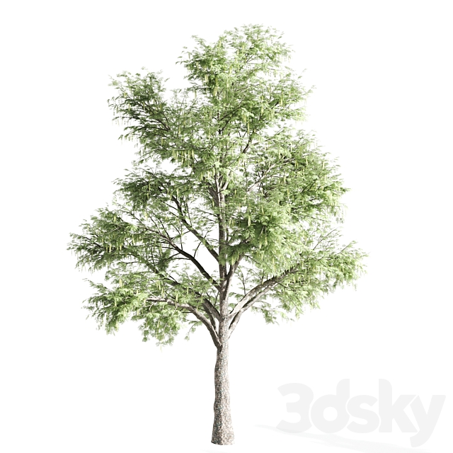 3dsky Free Download