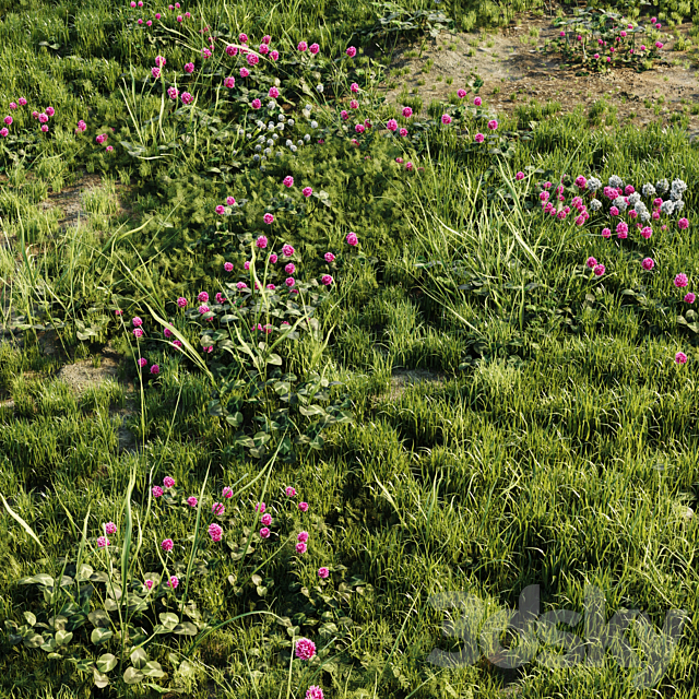 Meadow grass 3DSMax File - thumbnail 4