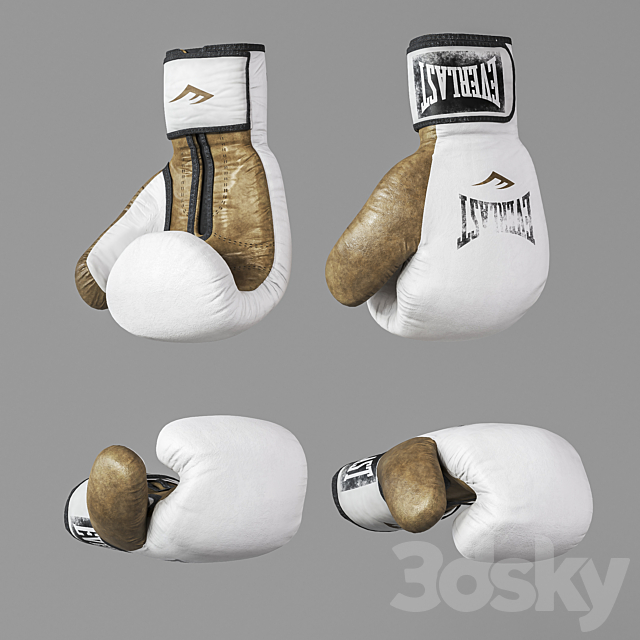 Sports boxing set 3DSMax File - thumbnail 3