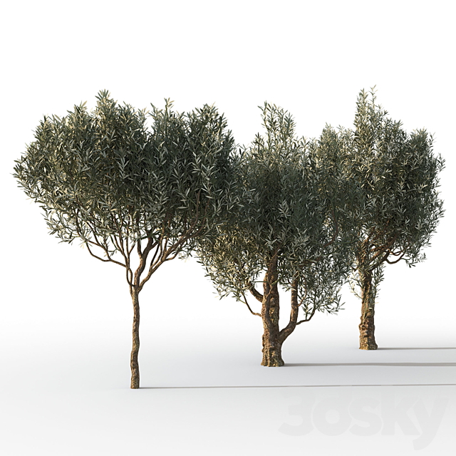 3dsky Free Download
