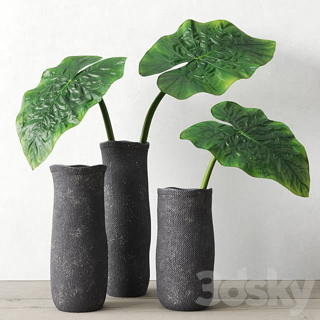 Restoration Hardware Crosshatch Concrete Vase Collection With Taro Leaves 3DSMax File - thumbnail 1