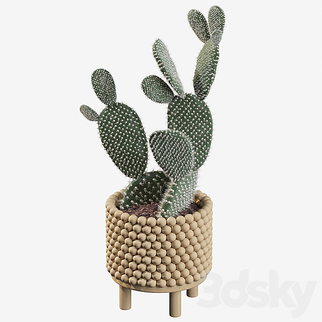 3dsky Free Download