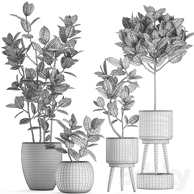 Collection of small ornamental trees in rattan baskets on legs with ficus elastic. Set 606. 3DSMax File - thumbnail 5