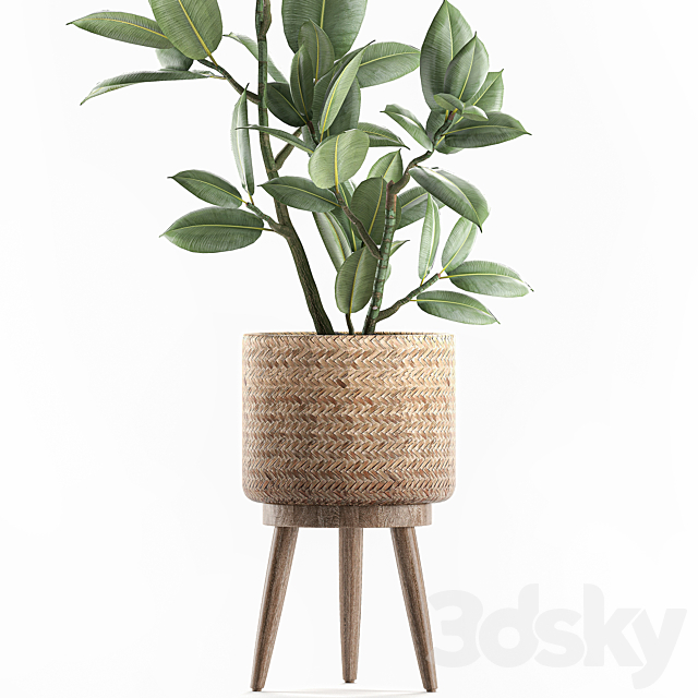 3dsky Free Download