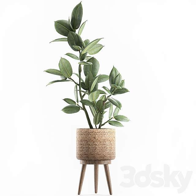 3dsky