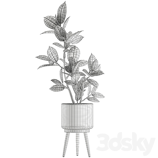 3dskyfree