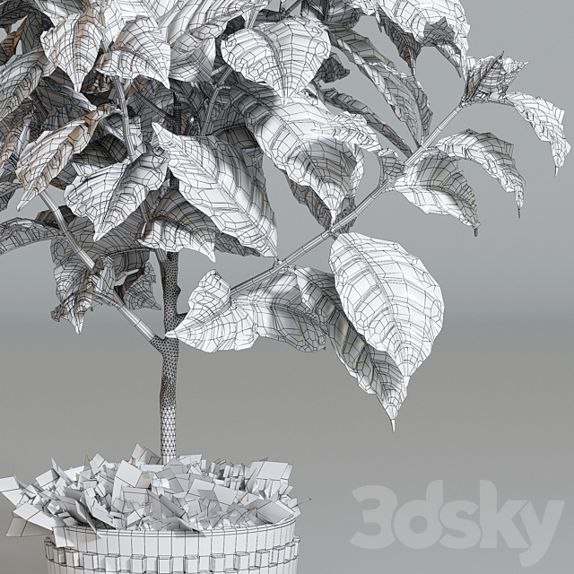 3dsky Free Download