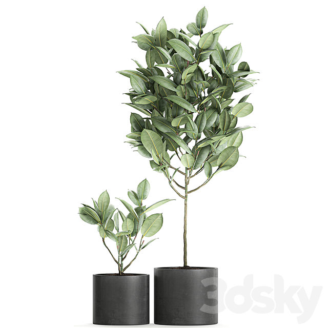 3dsky Free Download