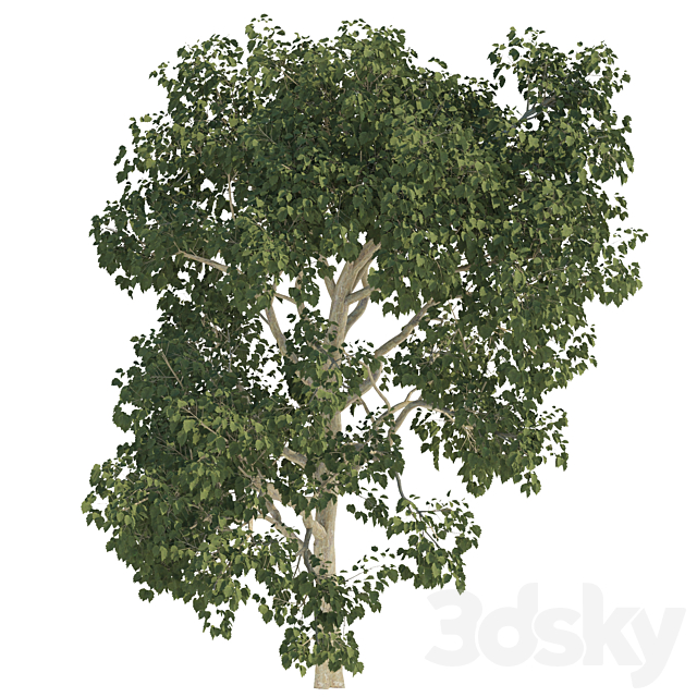 3dsky Free Download