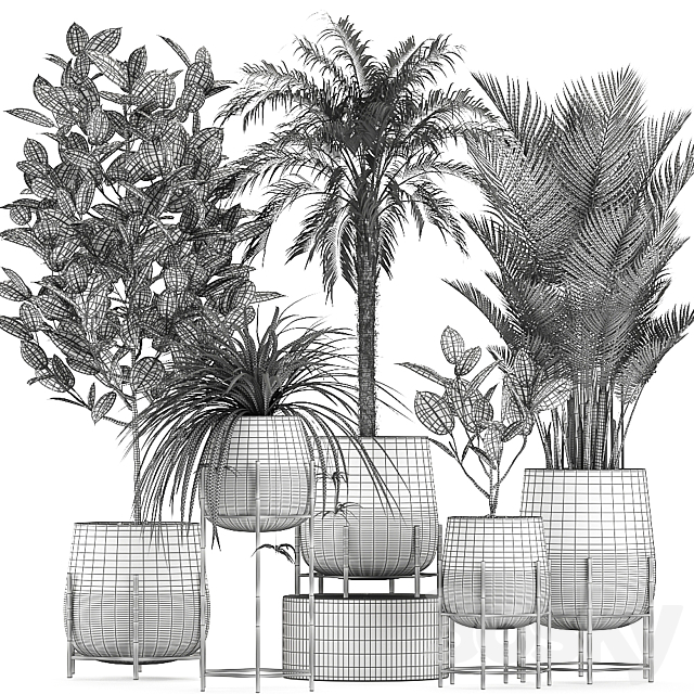 Collection of small plants in black pots on legs with Date palm. ficus. Chlorophytum. Abidjan. Set 627. 3DSMax File - thumbnail 5