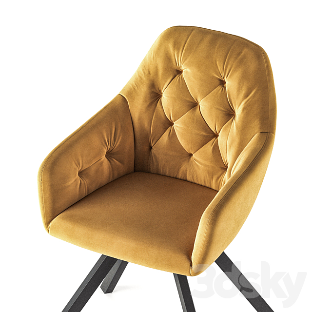 Lola Dining Chair 3d