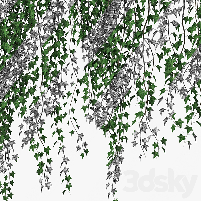 3dskyfree