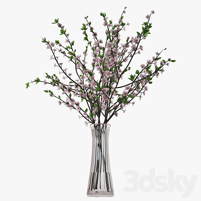3d