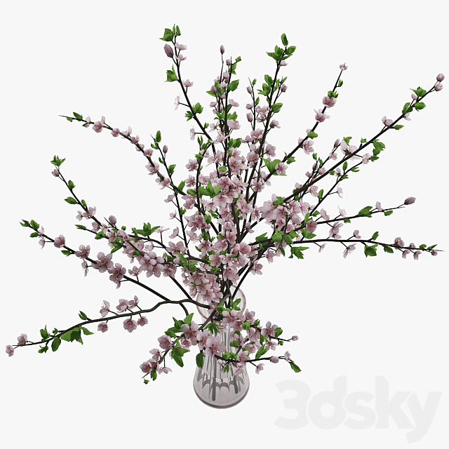 3dsky Free Download