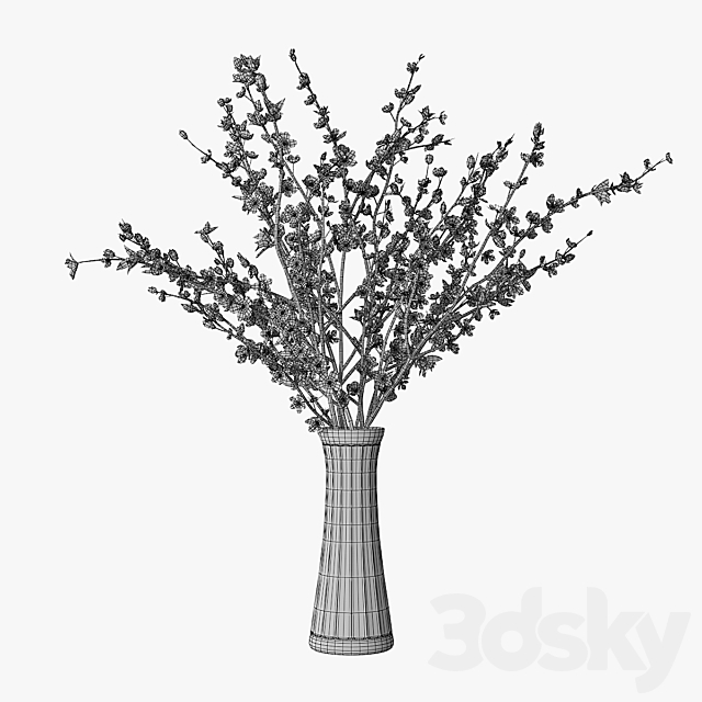 3dsky