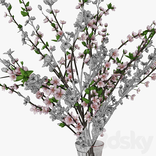 3dskyfree