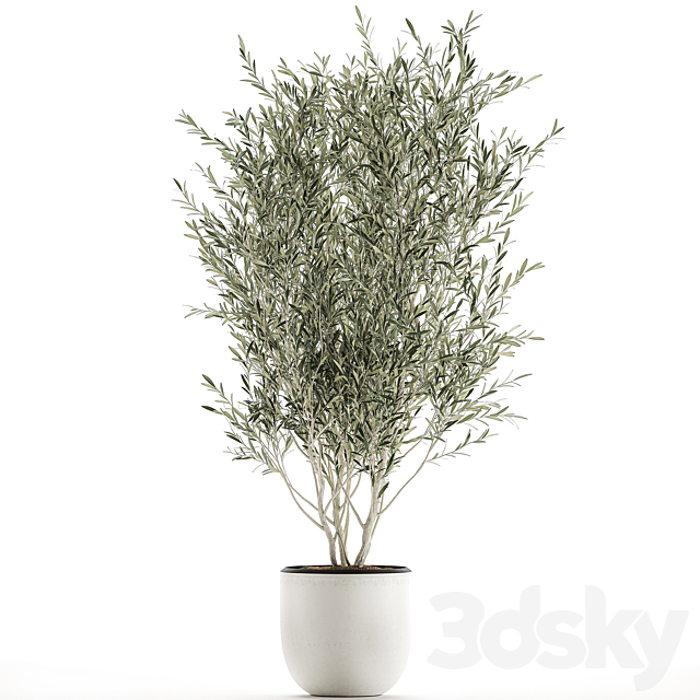 A beautiful little decorative olive tree in a white pot with handles. Set 645. 3dsky