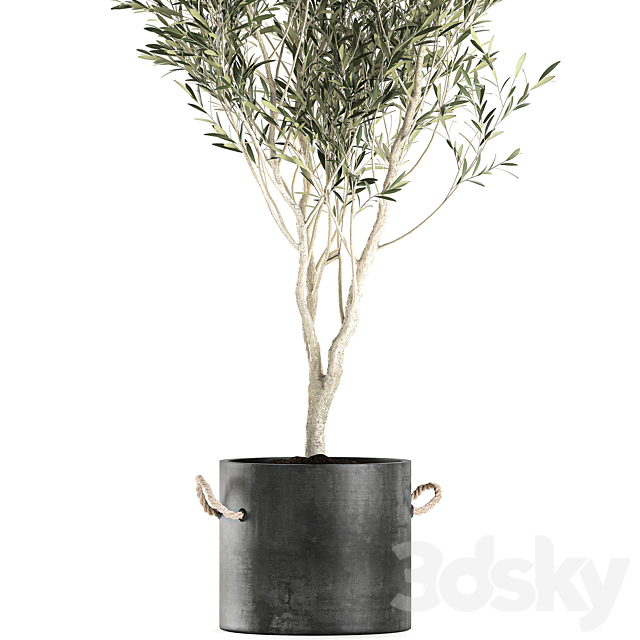 3dsky Free Download