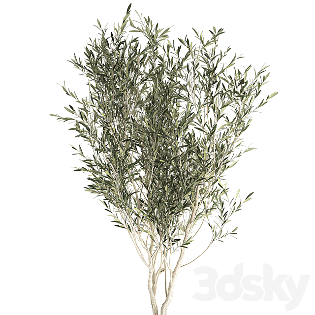 3dsky