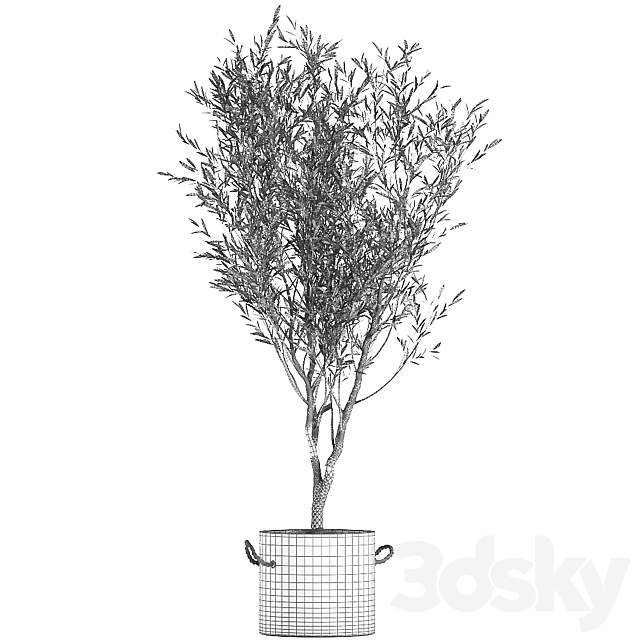 3dskyfree