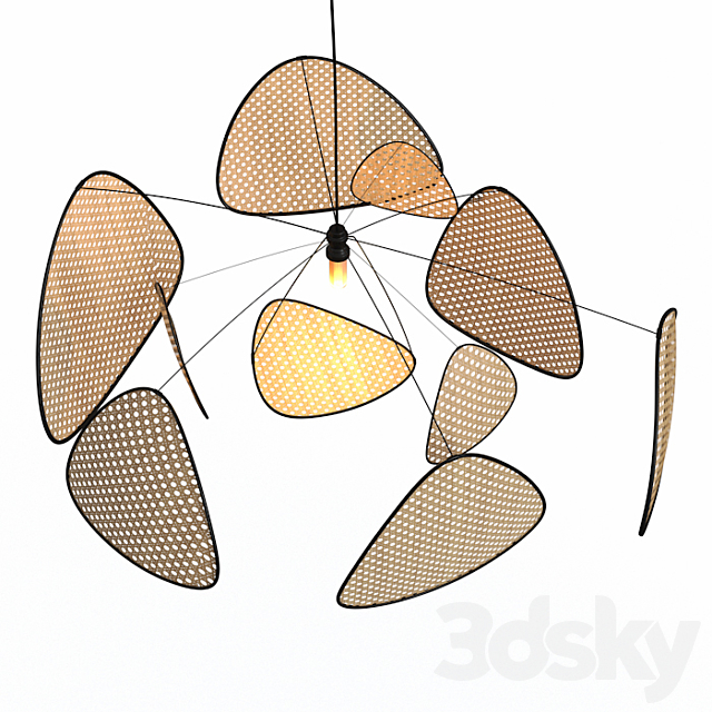 3d