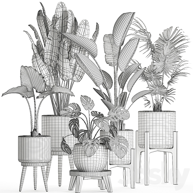 Collection of small beautiful plants in black pots on legs with Banana palm. strelitzia. monstera. Set 659. 3DSMax File - thumbnail 4