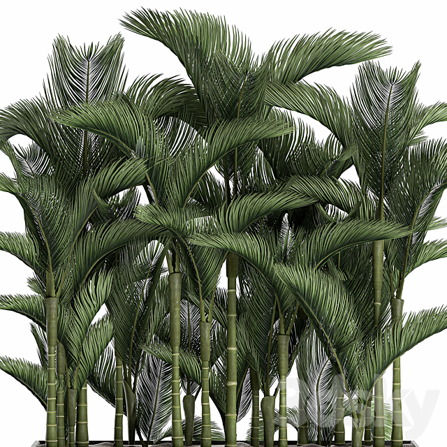 3dsky Free Download