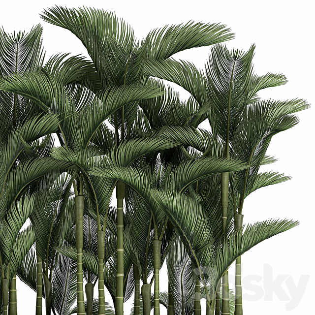 3dsky