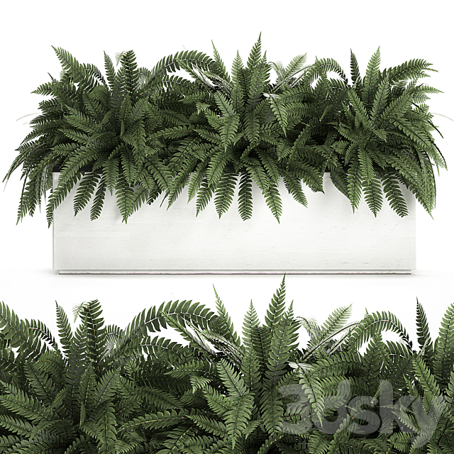 Lush ornamental bushes overgrown in a flowerbed pot with Nephrolepis. fern. outdoor flowerpot. Set 673. 3DSMax File - thumbnail 1