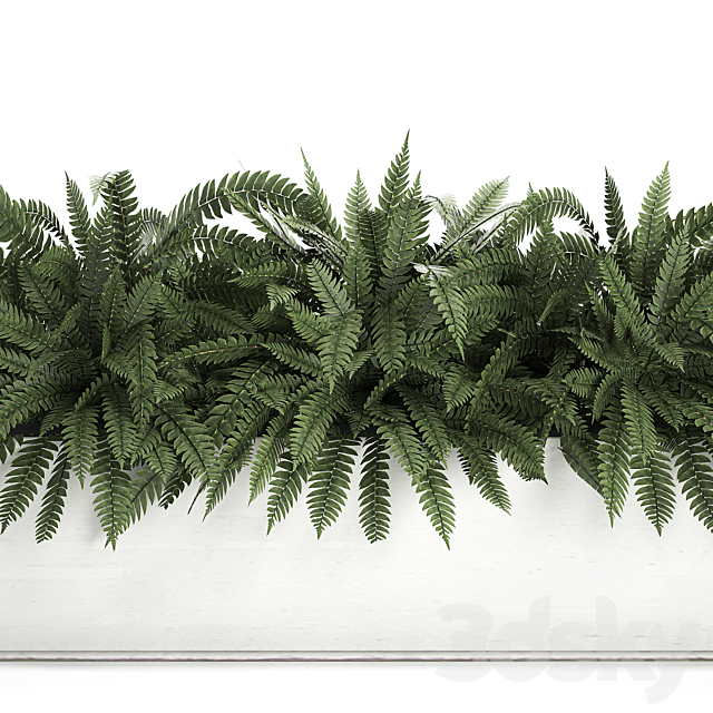 Lush ornamental bushes overgrown in a flowerbed pot with Nephrolepis. fern. outdoor flowerpot. Set 673. 3DSMax File - thumbnail 2
