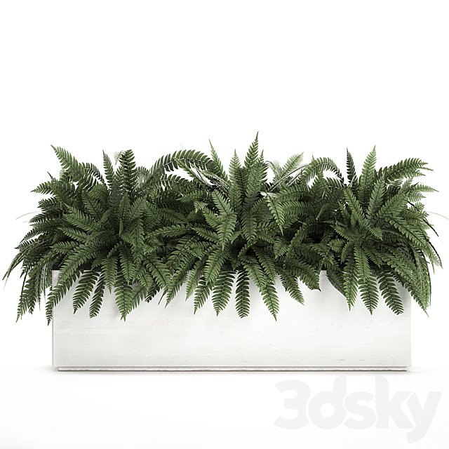 Lush ornamental bushes overgrown in a flowerbed pot with Nephrolepis. fern. outdoor flowerpot. Set 673. 3DSMax File - thumbnail 4