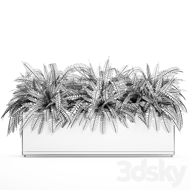 Lush ornamental bushes overgrown in a flowerbed pot with Nephrolepis. fern. outdoor flowerpot. Set 673. 3DSMax File - thumbnail 5