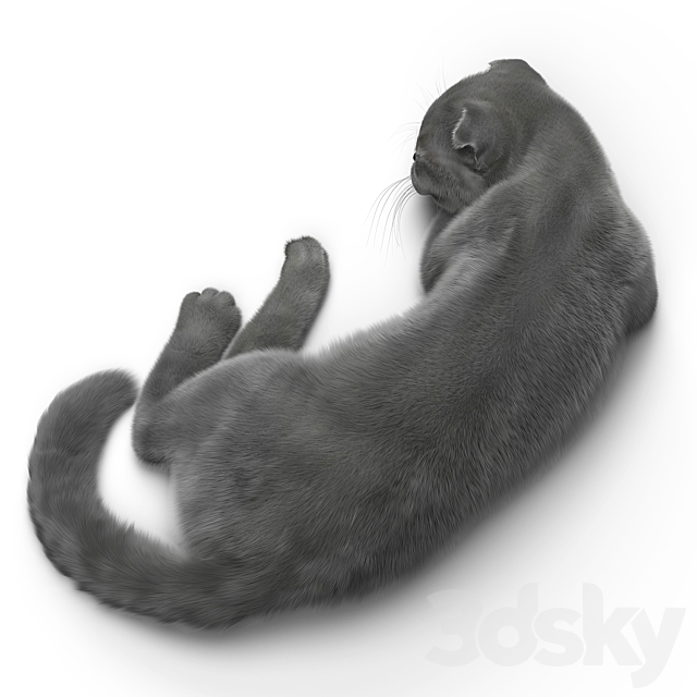 CAT 6 VRay 3dsky