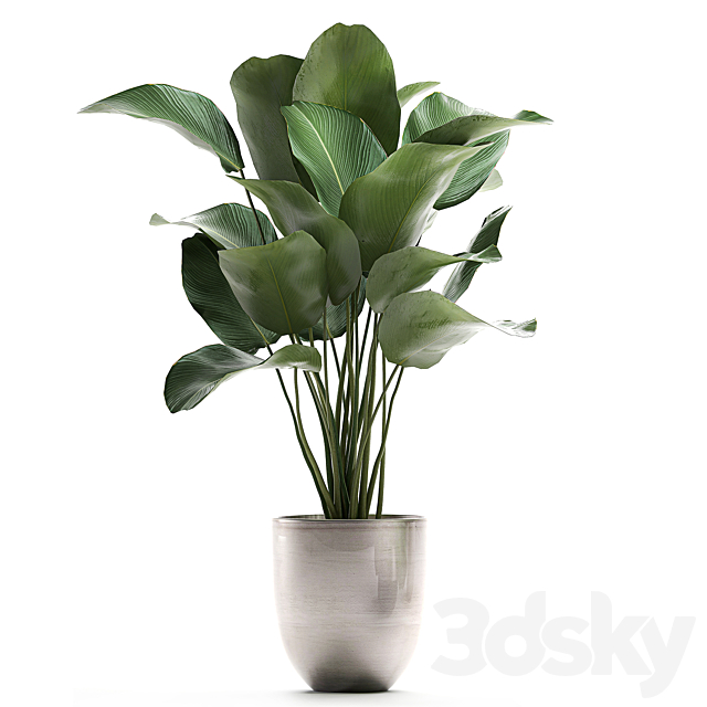 3dsky Free Download