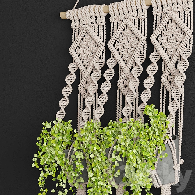 Macrame Planter 3d