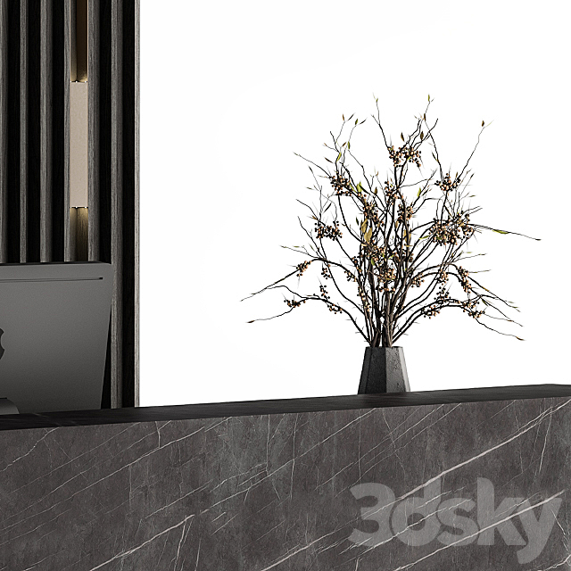 3dsky Free Download