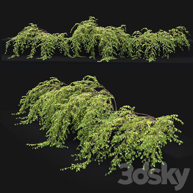 3dsky Free Download