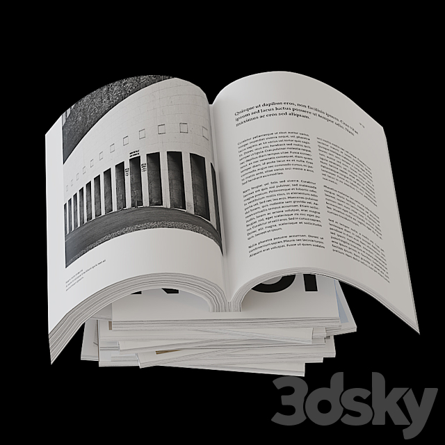 Collection of open and closed magazines 3DSMax File - thumbnail 4