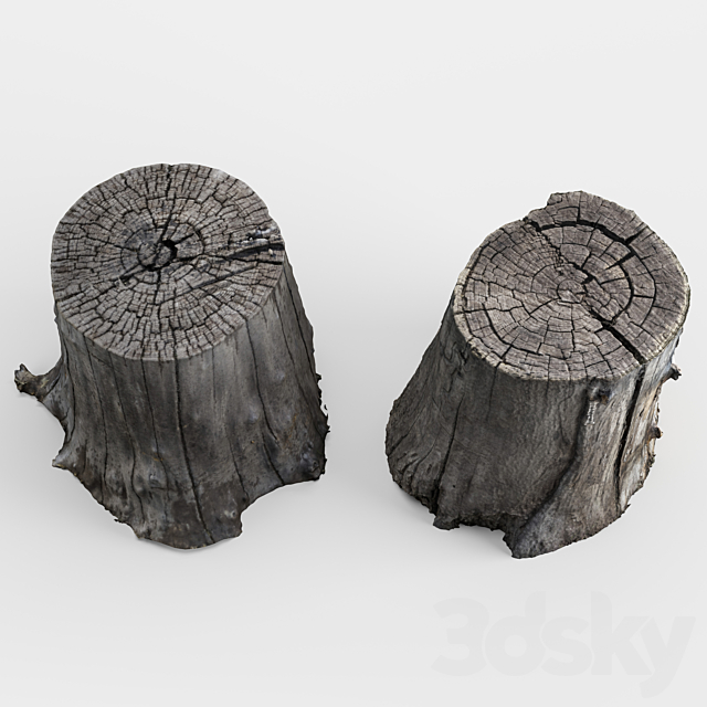 photoscan of two stumps 3d