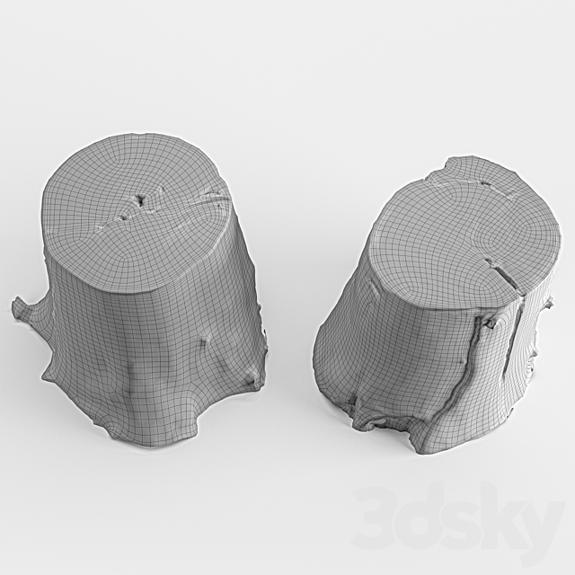 photoscan of two stumps 3dsky