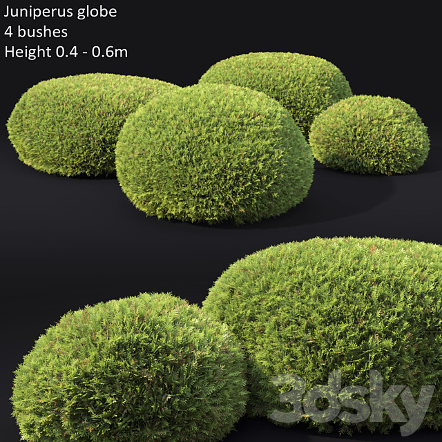 Juniperus Globe 3DSMax File - thumbnail 1
