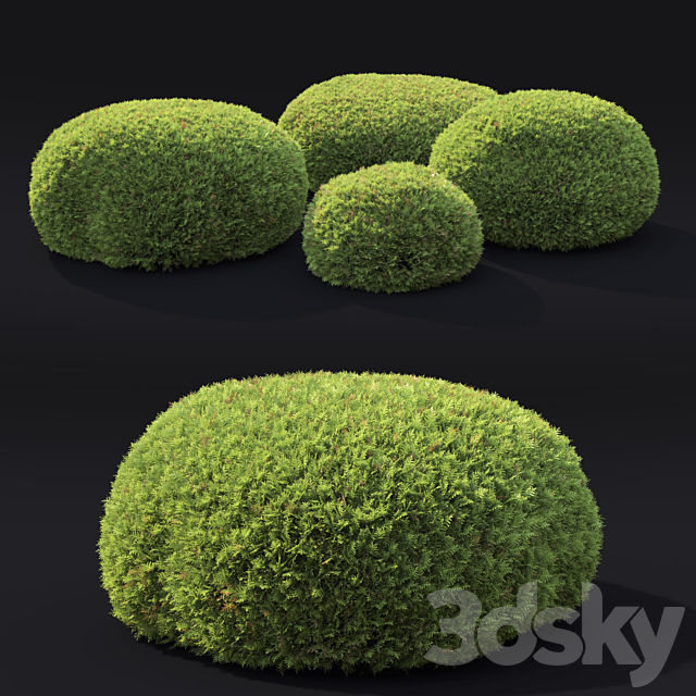 Juniperus Globe 3d
