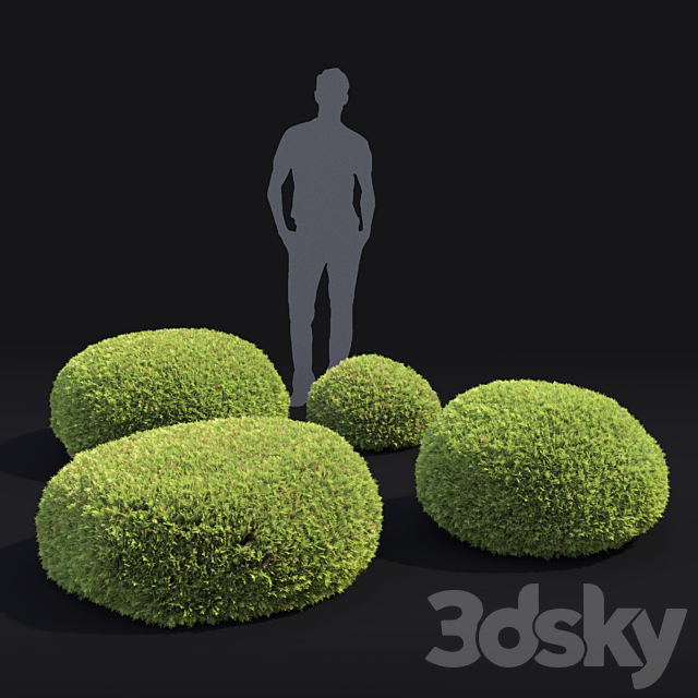 Juniperus Globe 3DSMax File - thumbnail 3