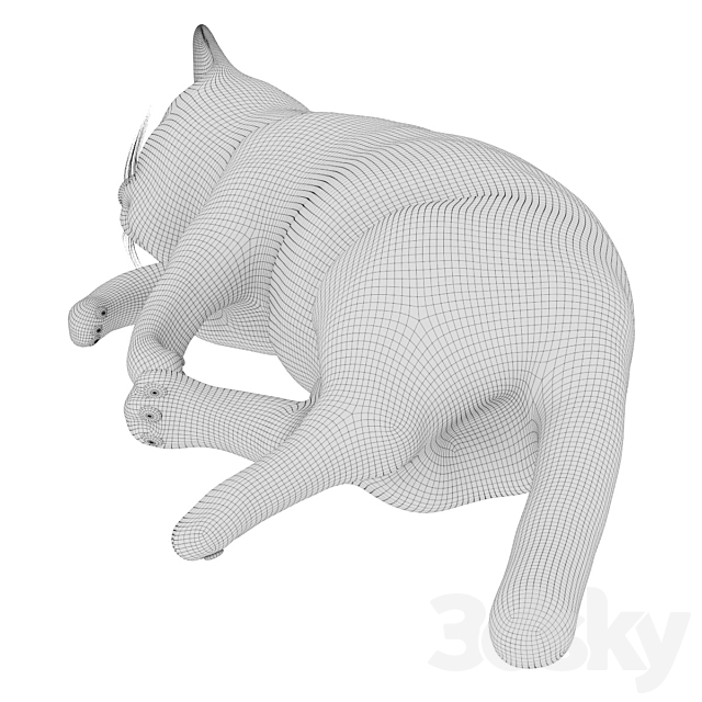 Cat 3DSMax File - thumbnail 3