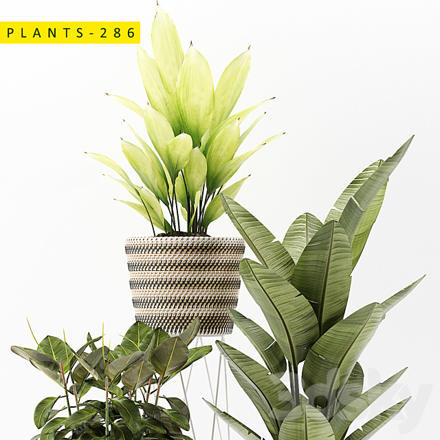 plants 286 3DSMax File - thumbnail 3