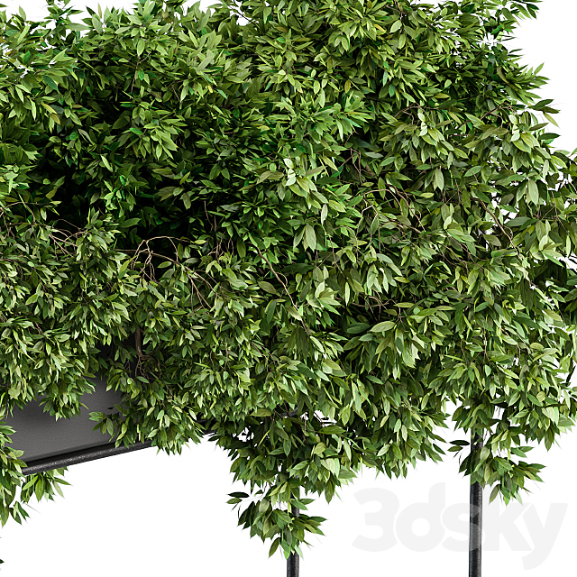 3dsky Free Download