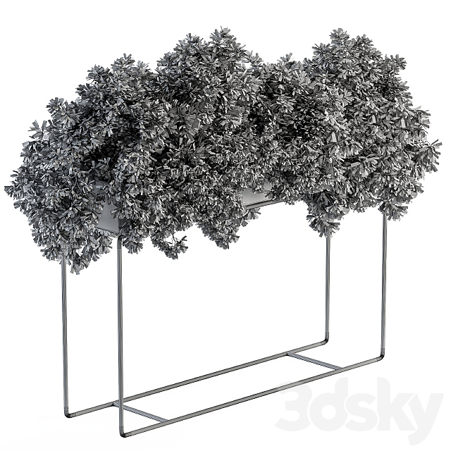 3dsky
