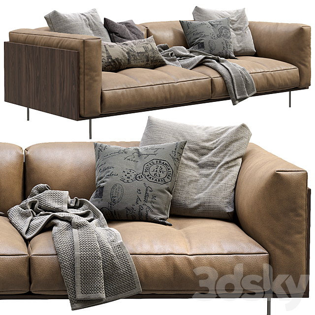Living Divani Leather Sofa Rodwood 3d