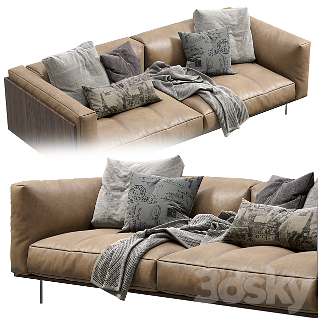 Living Divani Leather Sofa Rodwood 3dsky