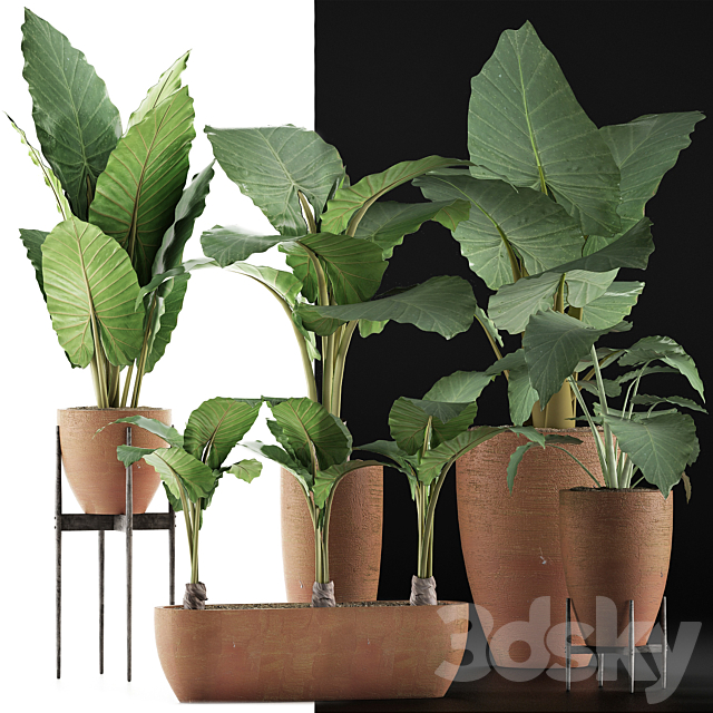 3dsky Free Download
